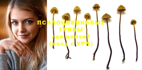 MDMA Premium VHQ Бронницы