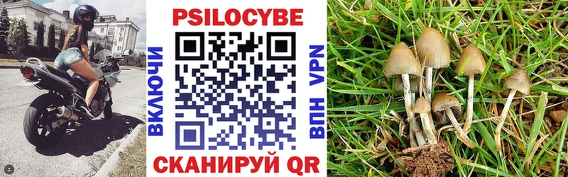 Псилоцибиновые грибы ЛСД  Купить закладки  Оханск 